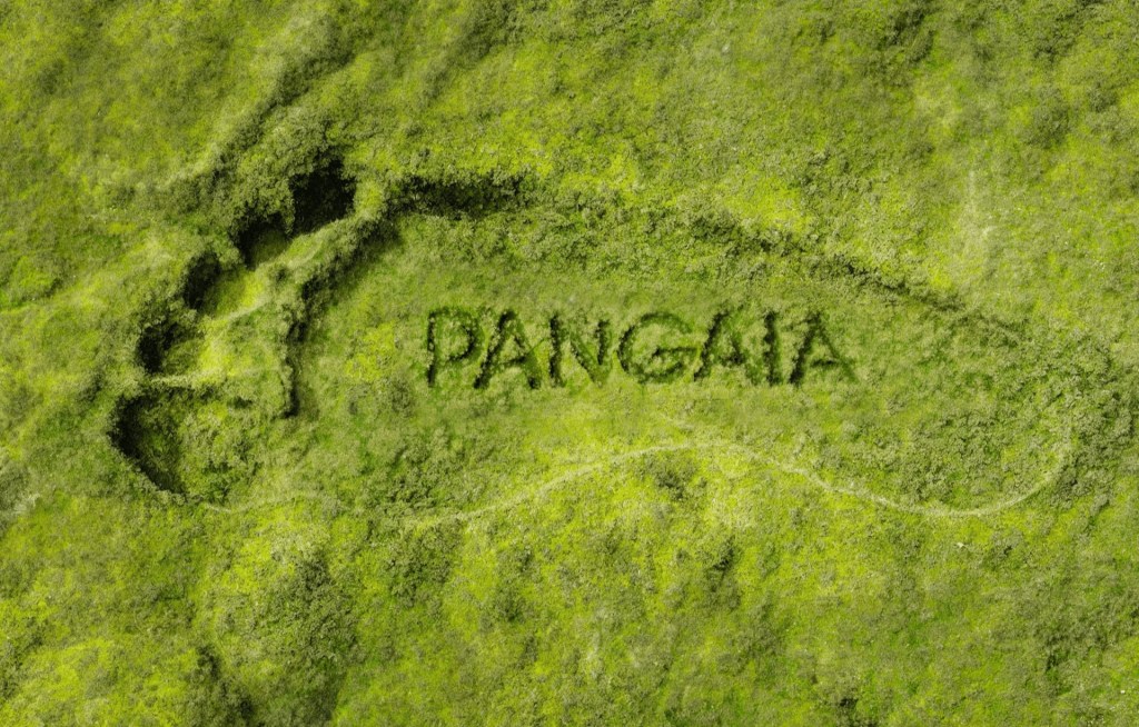 An aerial view of a green landscape featuring a large footprint outline with the word 'PANGAIA' carved into the grass, symbolizing sustainability.
